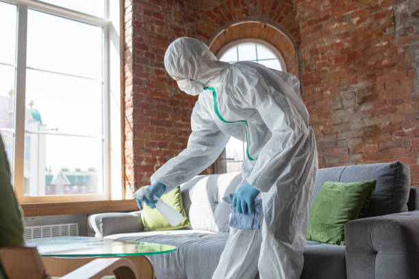 Best Biohazard Mold Removal in USA